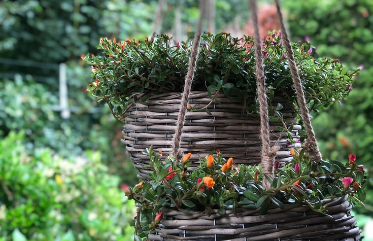 Natuurhuisje in Reutum