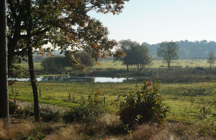 Natuurhuisje in Riel