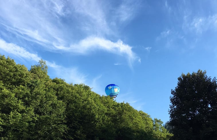 Natuurhuisje in La roche-en-ardenne