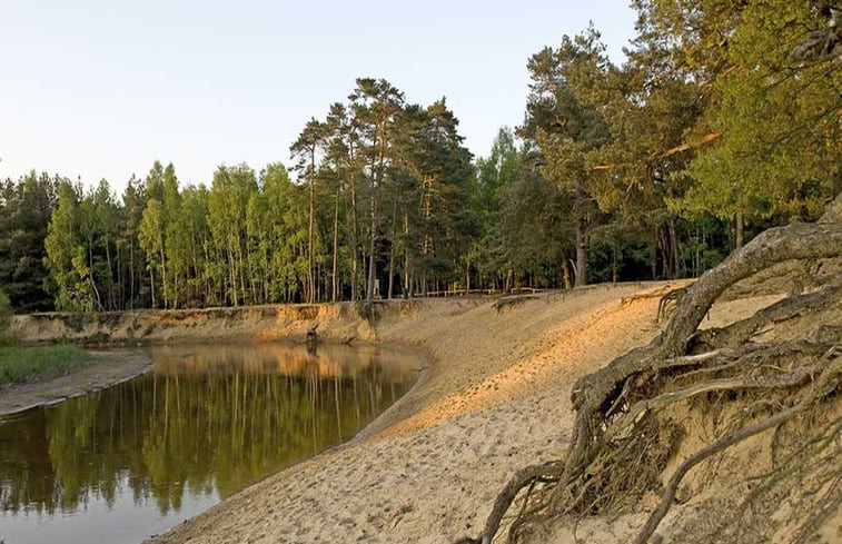 Natuurhuisje in de Lutte