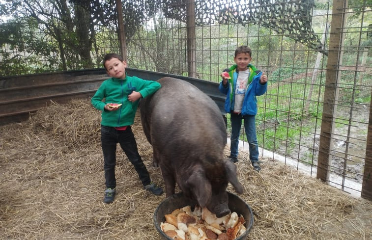 Natuurhuisje in Heers