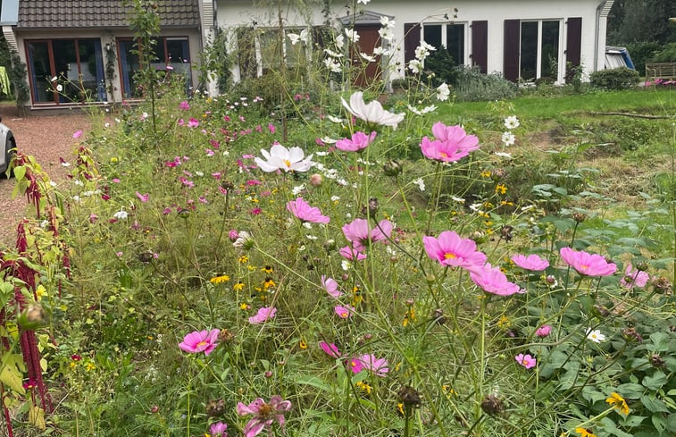 Natuurhuisje in Eisden