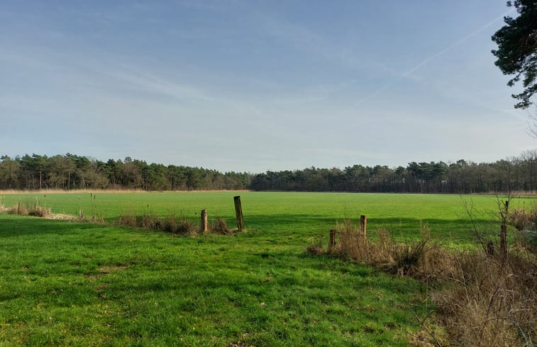 Natuurhuisje in Ommen