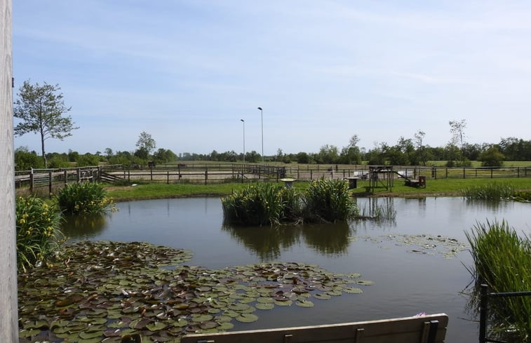 Natuurhuisje in Surhuisterveen