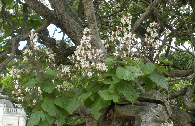 Natuurhuisje in ST. BOMER LES FORGES