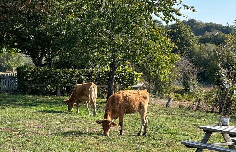 Natuurhuisje in Fresselines