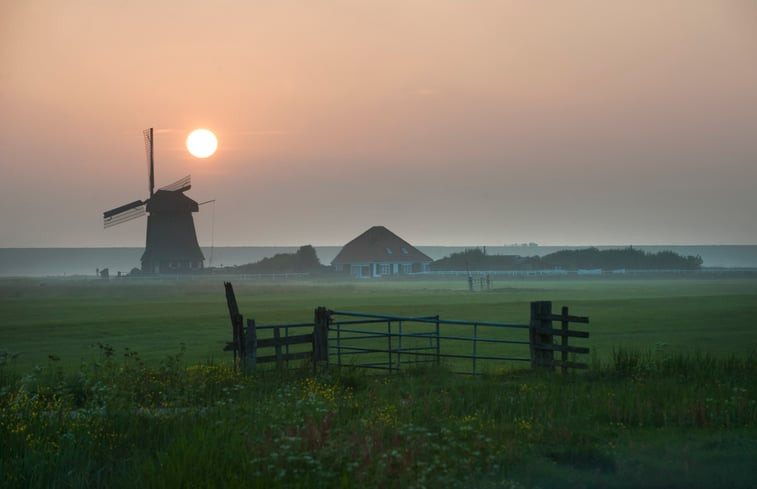 Natuurhuisje in Schoorl