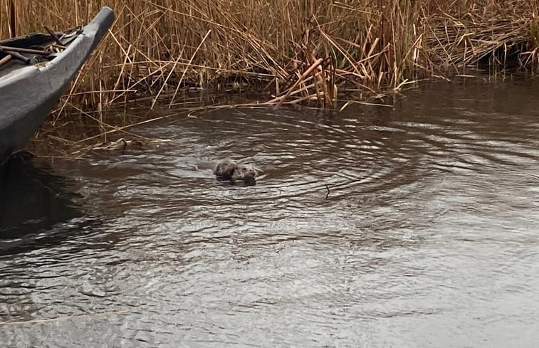 Natuurhuisje in Giethoorn