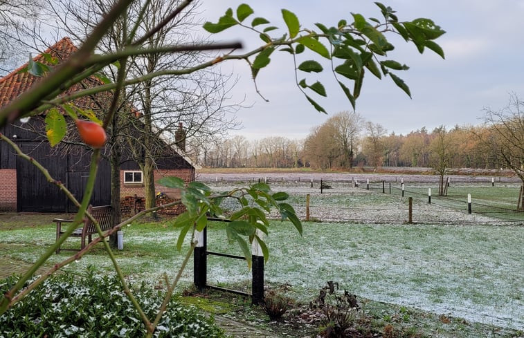 Natuurhuisje in Diepenheim