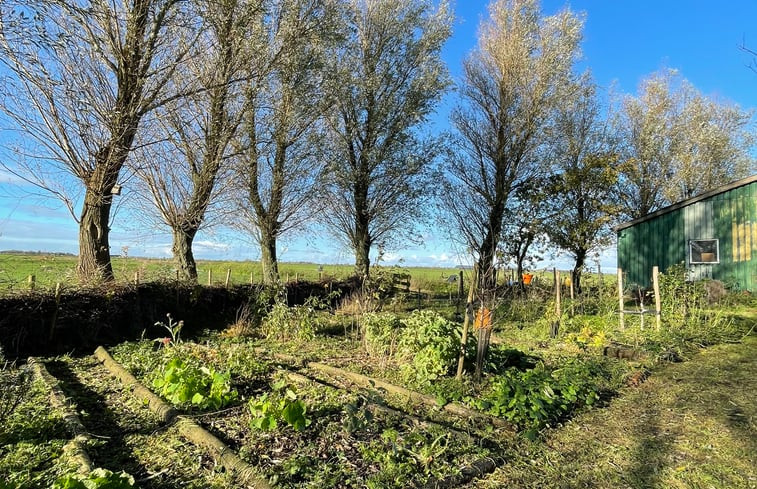 Natuurhuisje in Grou