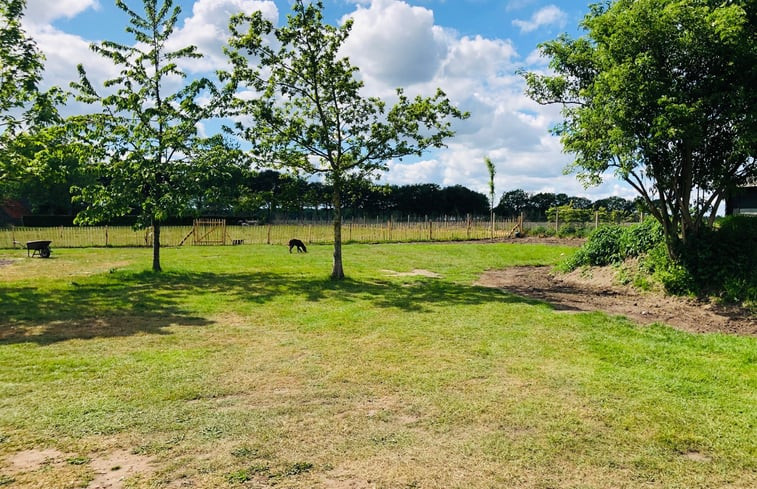 Natuurhuisje in Gasselte