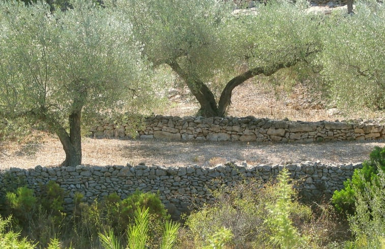 Natuurhuisje in El Perelló