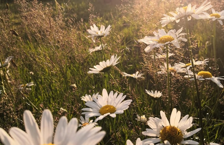 Natuurhuisje in Küchelscheid