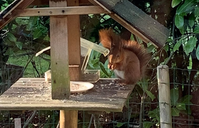 Natuurhuisje in Gasselte