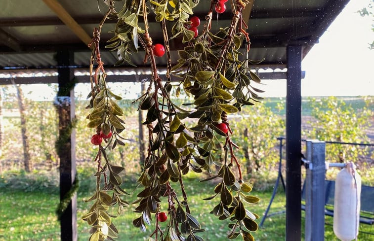 Natuurhuisje in Oudelande