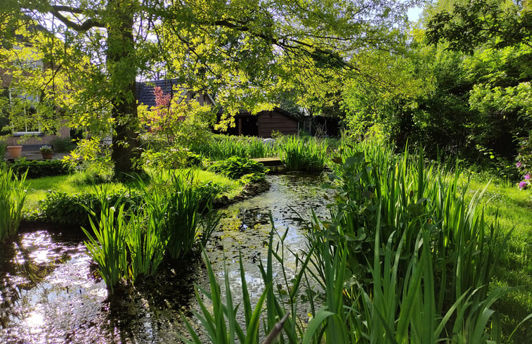 Natuurhuisje in Empe