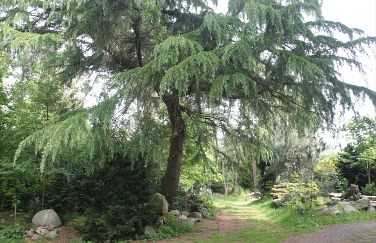 Natuurhuisje in Oldeholtpade