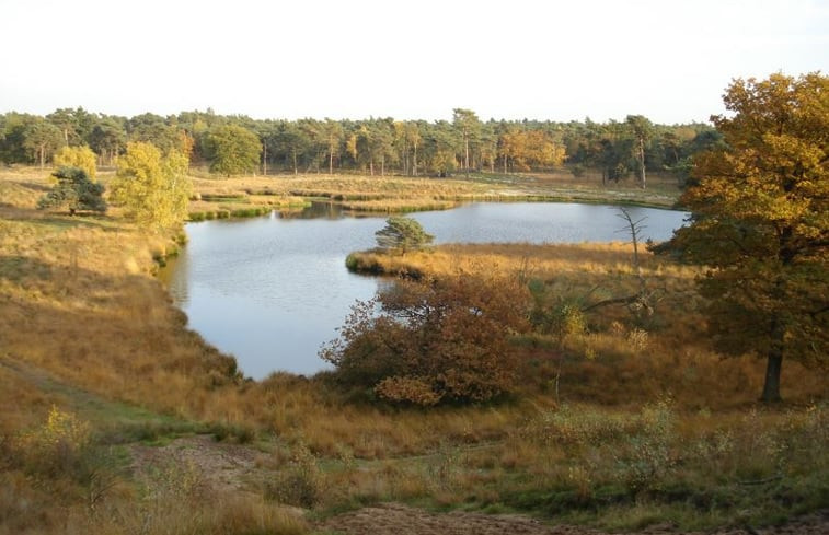 Natuurhuisje in Bergen LB