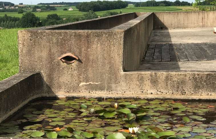 Natuurhuisje in Pellegrue