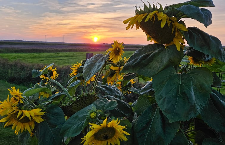 Natuurhuisje in Ouwster-Nijega