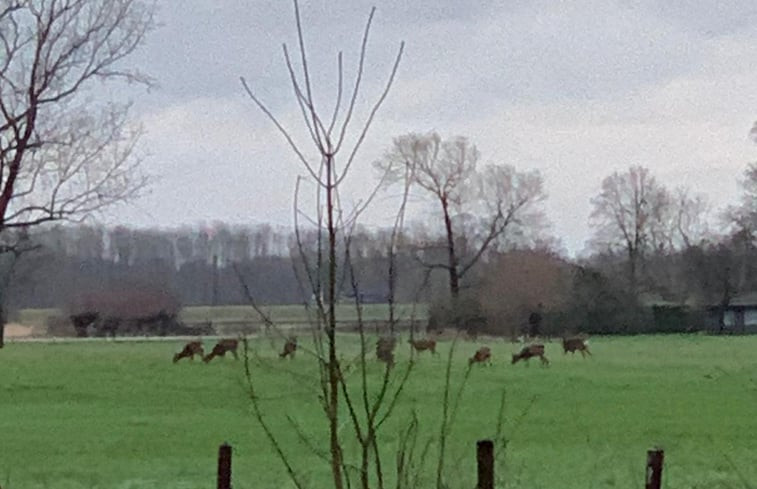 Natuurhuisje in Voorstonden Gem. Brummen