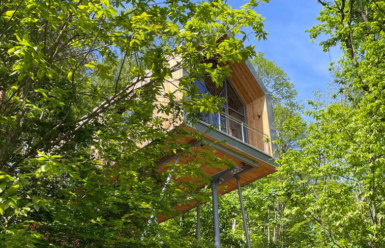 Natuurhuisje in Annweiler am Trifels