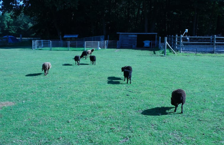 Natuurhuisje in Epe