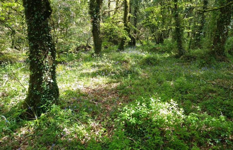 Natuurhuisje in Brewsterfield