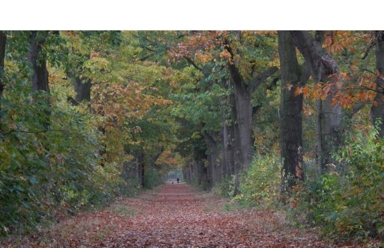 Natuurhuisje in Oldebroek