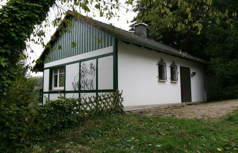 Natuurhuisje in Willingen