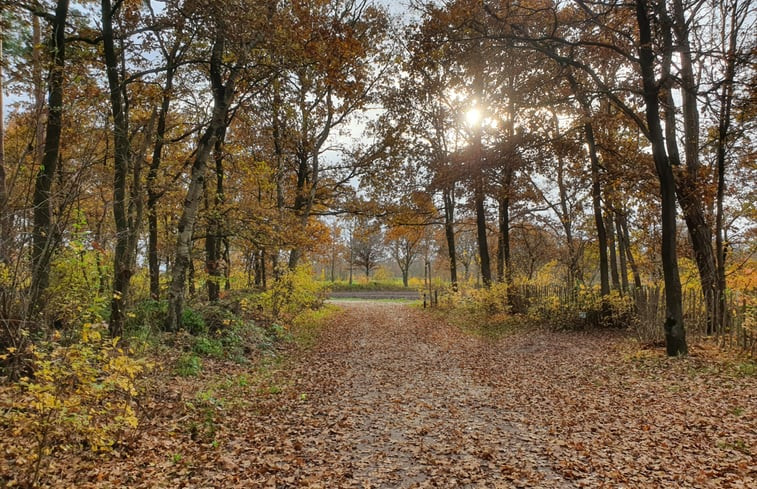 Natuurhuisje in Bergeijk