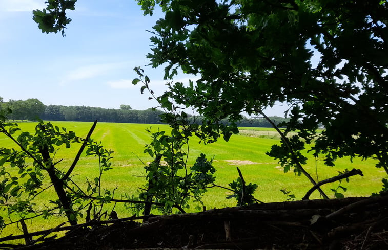 Natuurhuisje in De Wilp