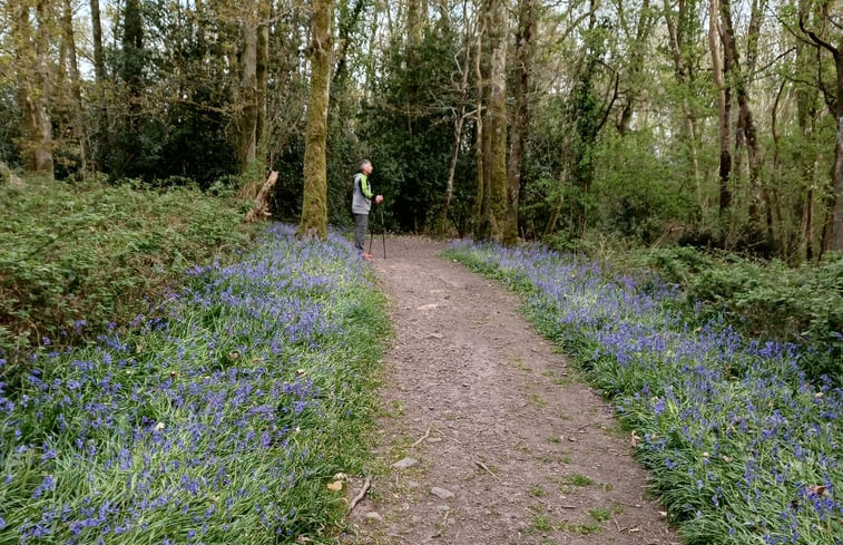 Natuurhuisje in LE BÔ