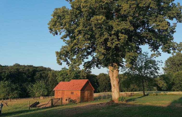 Natuurhuisje in Everbeek