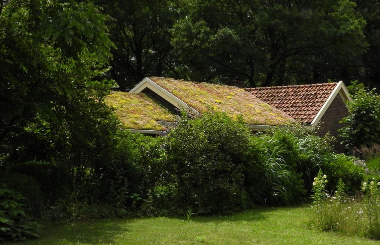 Natuurhuisje in Zuidwolde