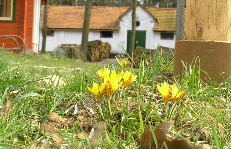 Natuurhuisje in Swalmen