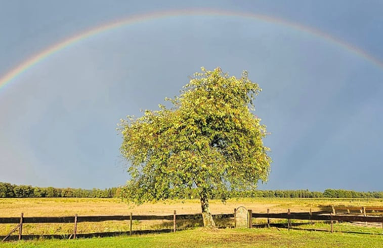 Natuurhuisje in Hoog Soeren