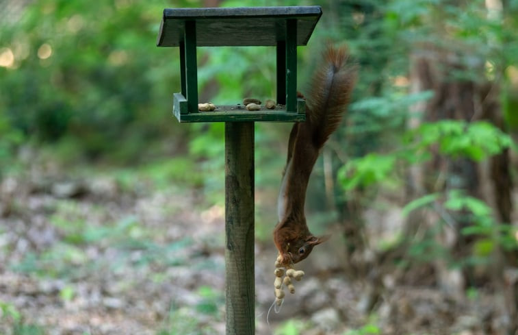 Natuurhuisje in Voorthuizen