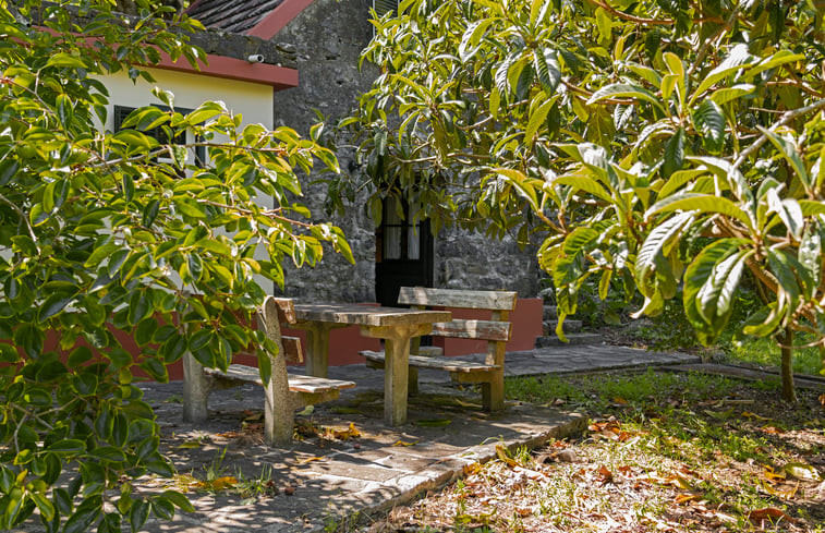 Natuurhuisje in São Vicente