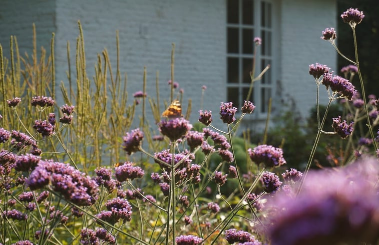 Natuurhuisje in Loon op Zand