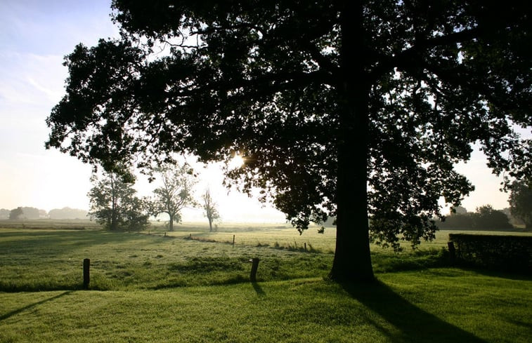 Natuurhuisje in Balkbrug