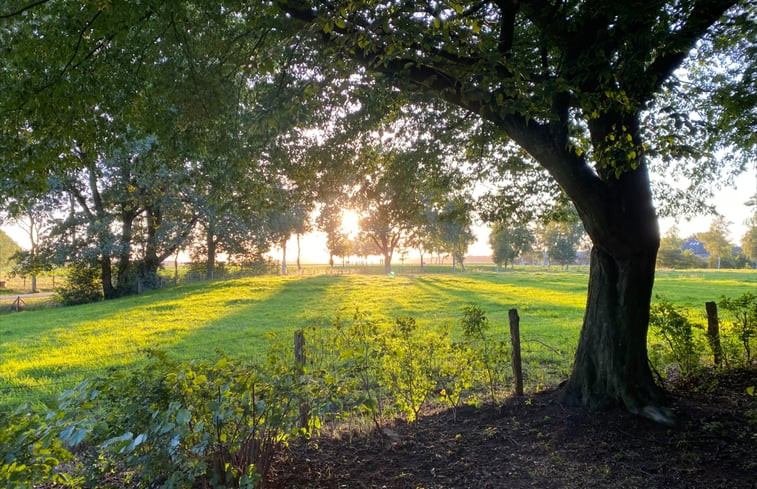 Natuurhuisje in Dwingeloo