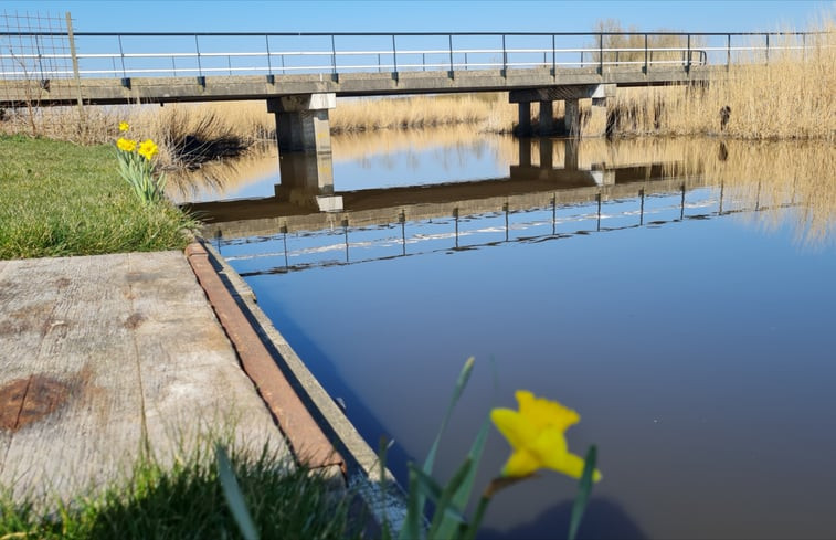 Natuurhuisje in Wanswerd