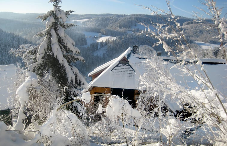 Natuurhuisje in Triberg