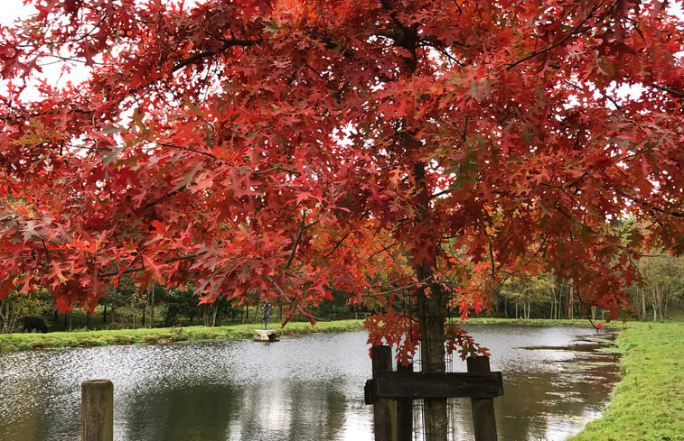 Natuurhuisje in Yves-Gomezée