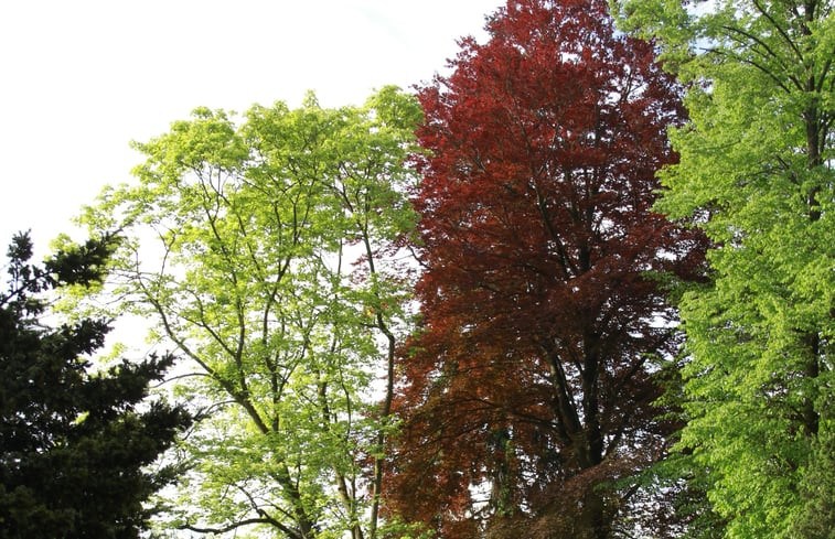 Natuurhuisje in Rosenthal-Bielatal