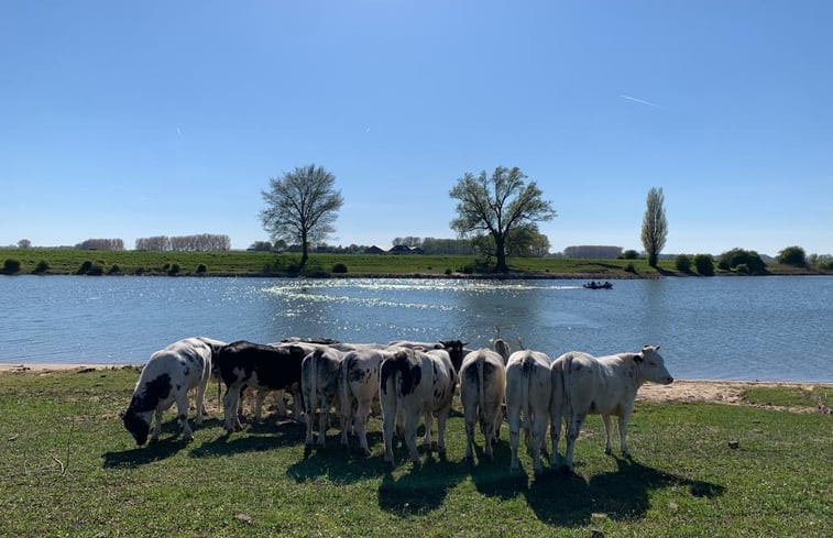 Natuurhuisje in Alem