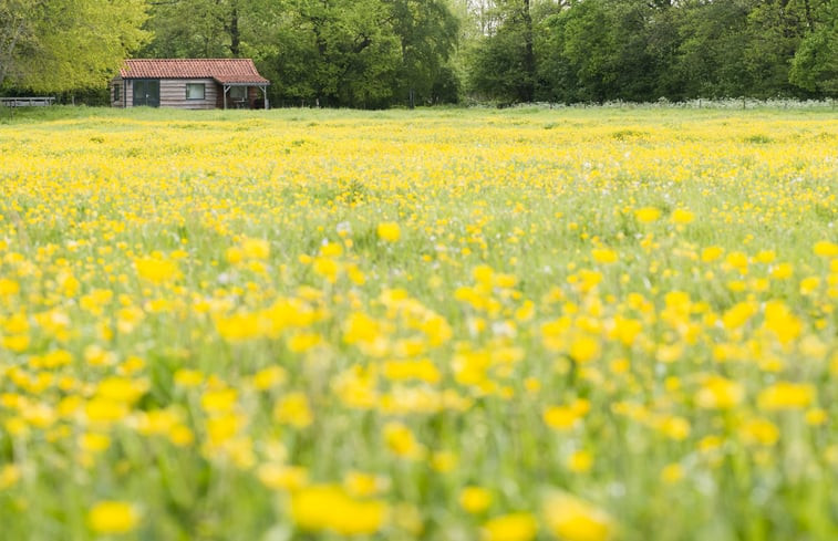 Natuurhuisje in Anderen