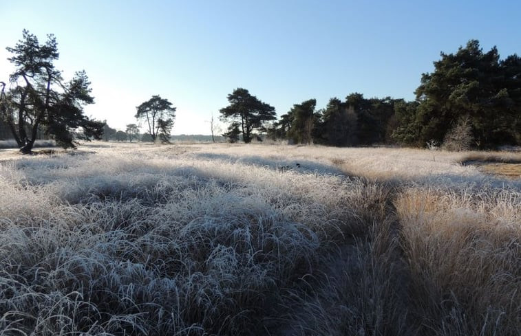 Natuurhuisje in Harfsen