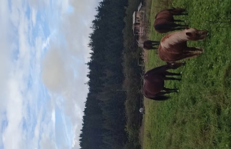 Natuurhuisje in Marche en Famenne